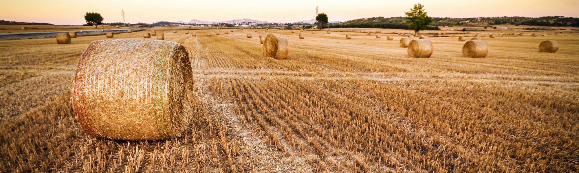 Europe Talks Farming